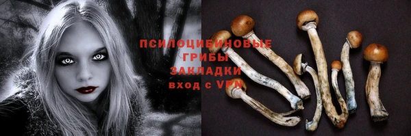 мдпв Богородск