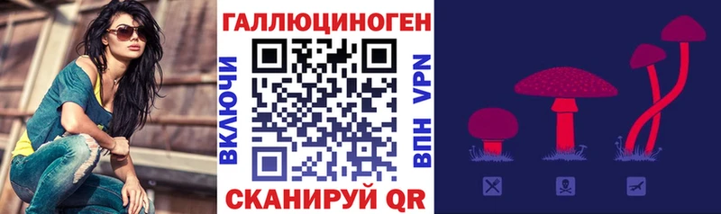 дарк нет клад  хочу наркоту  Крым  Галлюциногенные грибы прущие грибы 